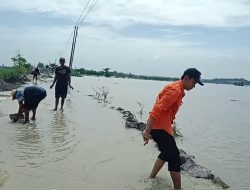 Kali Patih Meluap, 360 Hektar Sawah Terendam di Desa Patihan Kecamatan Babat