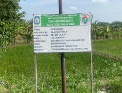 Rabat Beton yang bersumber dari Dana Desa di Desa Kradenan Rejo Pecah Meski Belum Enam Bulan, Kualitas Dipertanyakan