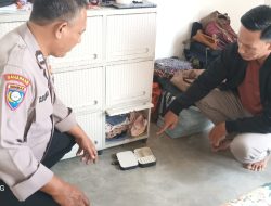 Tim Jaka Tingkir Satreskrim Polres Lamongan Bersama Polsek Kembangbahu Berhasil Ungkap Kasus Pencurian Emas di Katemas, Pelaku Diamankan