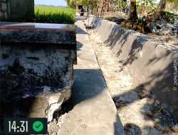 Diduga Tak Sesuai Spesifikasi, Proyek Irigasi Tersier di Desa Gempolpading Jadi Sorotan