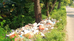 Sampah Menumpuk di Tepi Jalan Raya Sugio, Warga Desak Pemerintah Bertindak Tegas