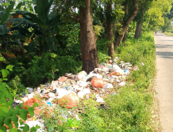 Sampah Menumpuk di Tepi Jalan Raya Sugio, Warga Desak Pemerintah Bertindak Tegas