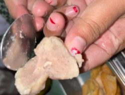 Dugaan Ulat dalam Makanan MBG Kembangbahu, Orang Tua Minta SPPG Lopang 2 Dievaluasi